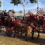 Feria de Sevilla - attelage